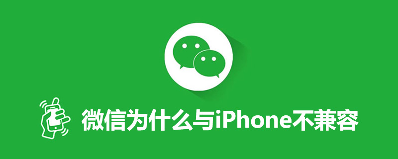 微信为什么与iphone不兼容