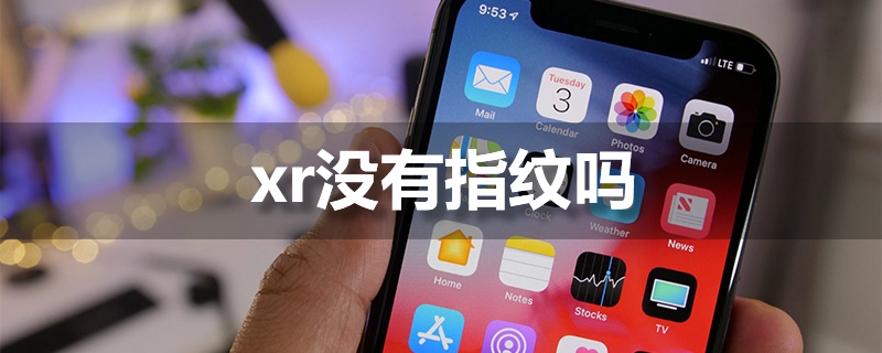 xr没有指纹吗